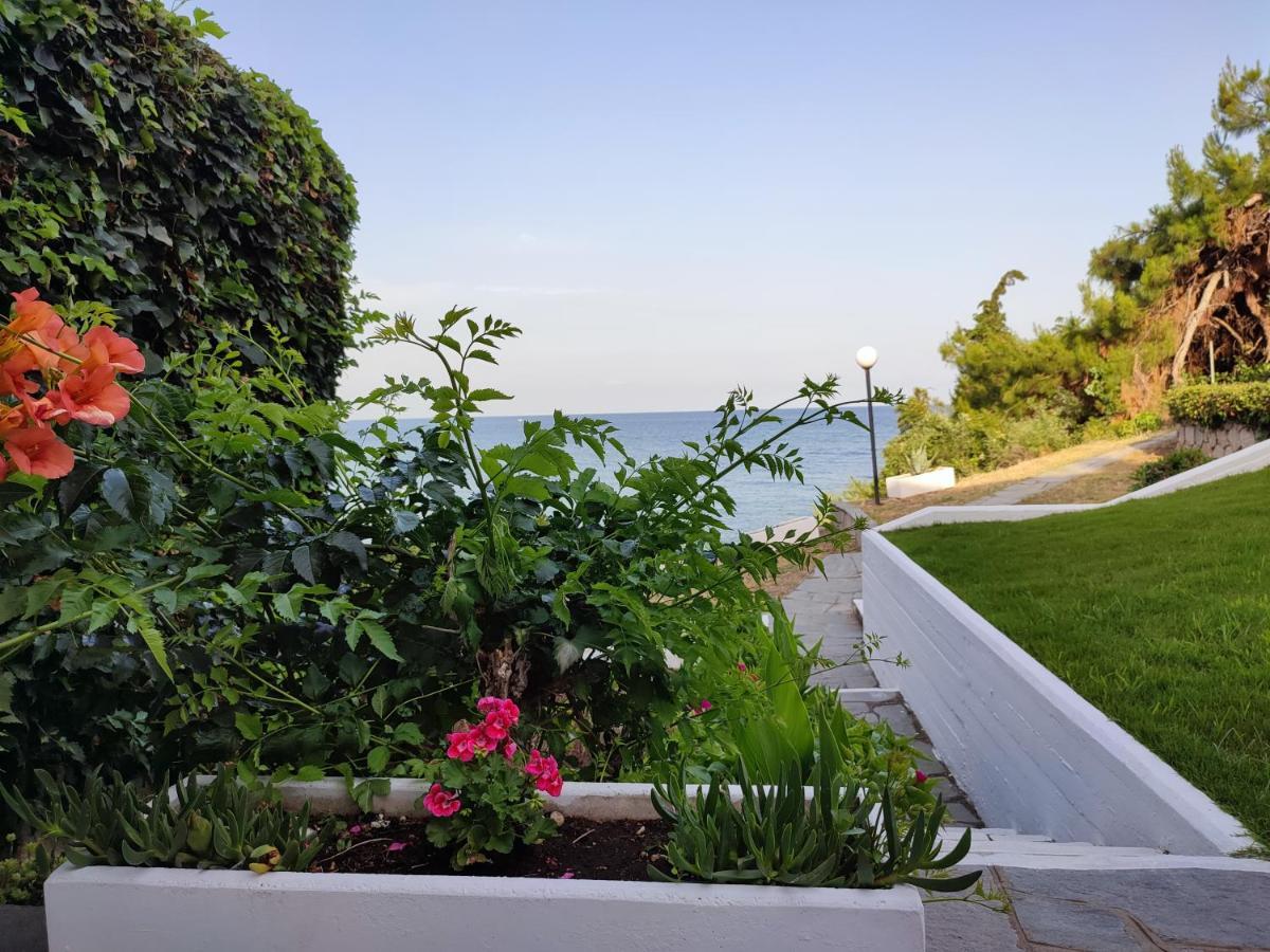 Beach House Emme PalaiónTsiflíkion Dış mekan fotoğraf